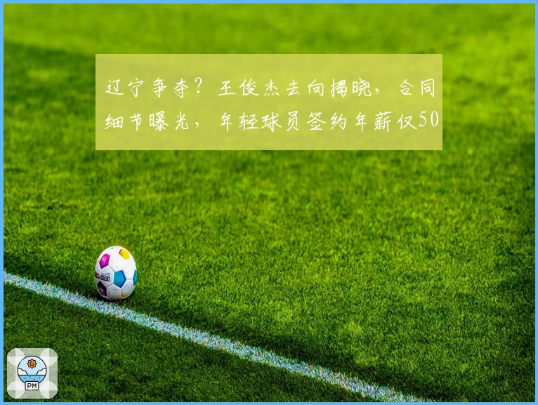 辽宁争夺？王俊杰去向揭晓，合同细节曝光，年轻球员签约年薪仅50万