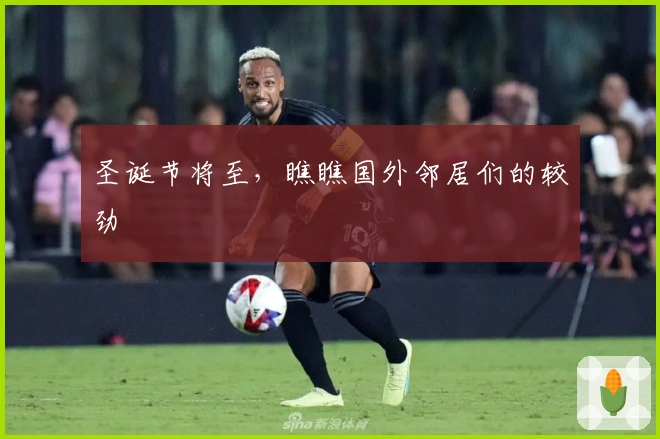 圣诞节将至，瞧瞧国外邻居们的较劲