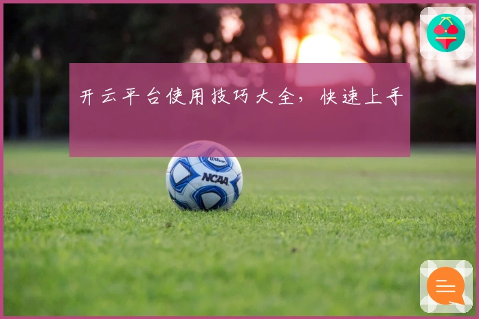 开云平台使用技巧大全，快速上手